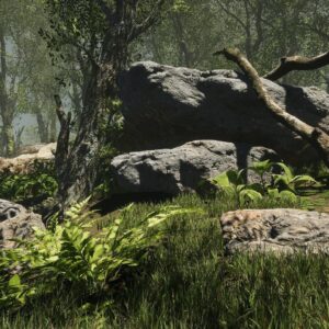 Lighting – Forest